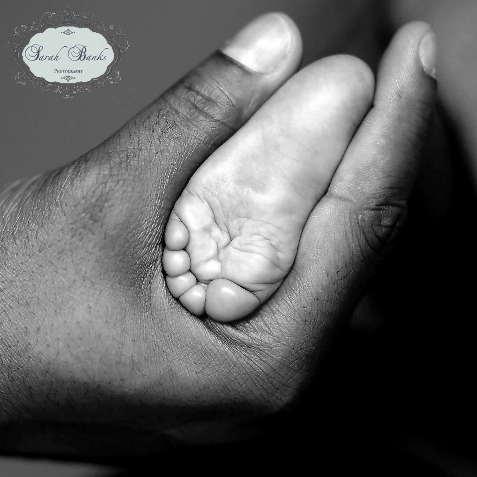 Fine Art Image of Baby Foot.jpg