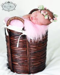 Newborn Baby in Bucket Pose.jpg